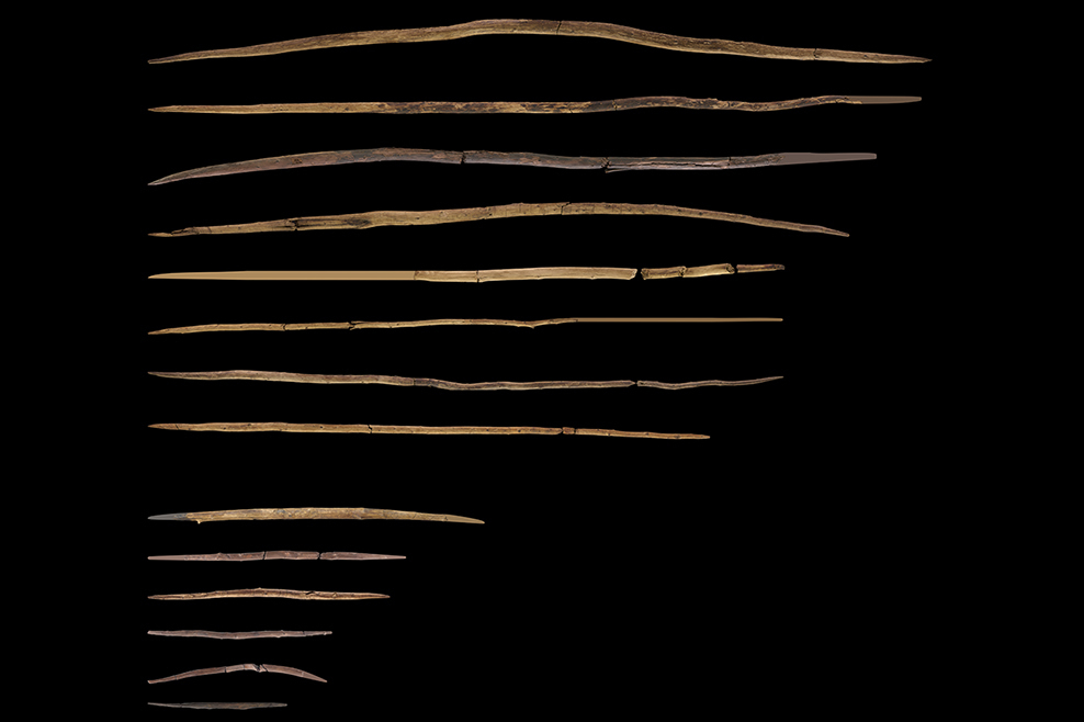 Funde aus Schöningen zeigen: Holz war vor 300.000 Jahren ein entscheidender Rohstoff